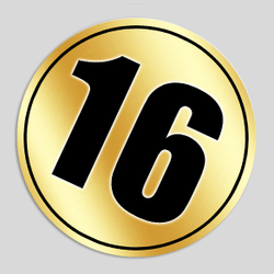 Номер участника, крепление в ассортименте. Диаметр 86 мм. Цвет номера GOLD