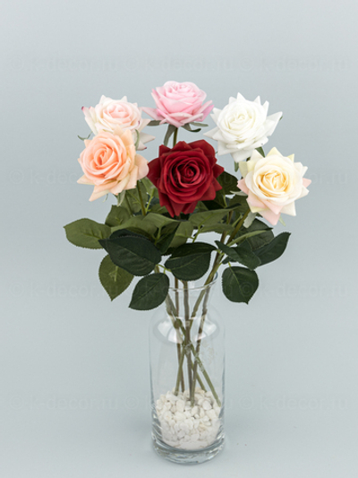 Роза Фелиция силикон