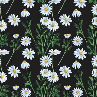 Ромашки на чёрном