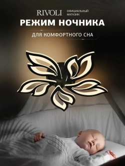 Люстра потолочная светодиодная с пультом ДУ Rivoli черная LED 120 Вт 3000 - 6000 К, светильник на кухню, в детскую, в спальню