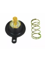 Комплект диафрагмы карбюратора 2EN1490H0000