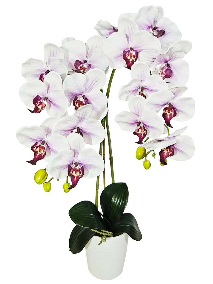 Орхидеи сиреневые 2 ветки латекс в горшке