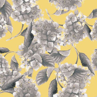 Гортензия на жёлтом