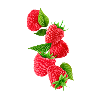 STARLINE - Malina (250g)