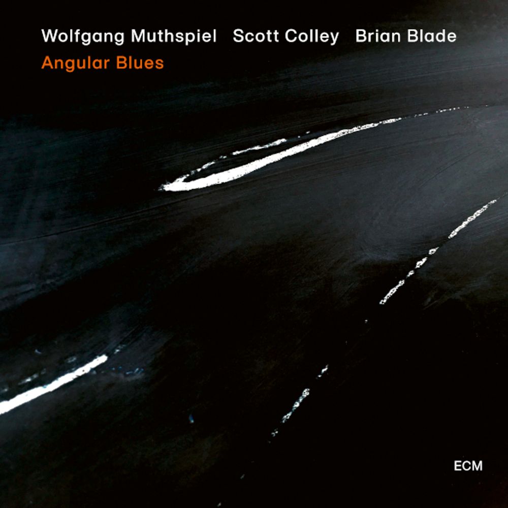 Wolfgang Muthspiel, Scott Colley, Brian Blade / Angular Blues (CD)