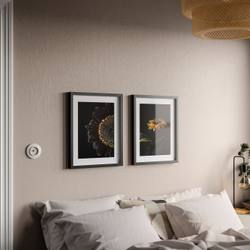 IKEA RÖDALM  (ИКЕА РÖДАЛМ)  -  Рамка для плаката, подсолнухи, 40x50 см