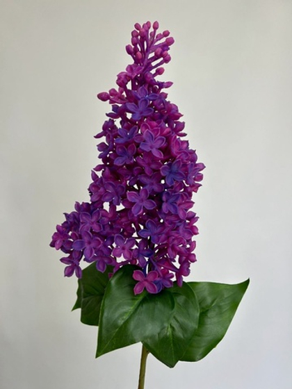 Сирень / Арт 2196