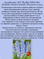 Дельфиниум Голубой с белой пчёлкой многолетний