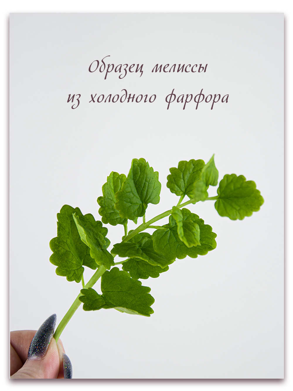 Мелисса. Сорт 2. Набор большой