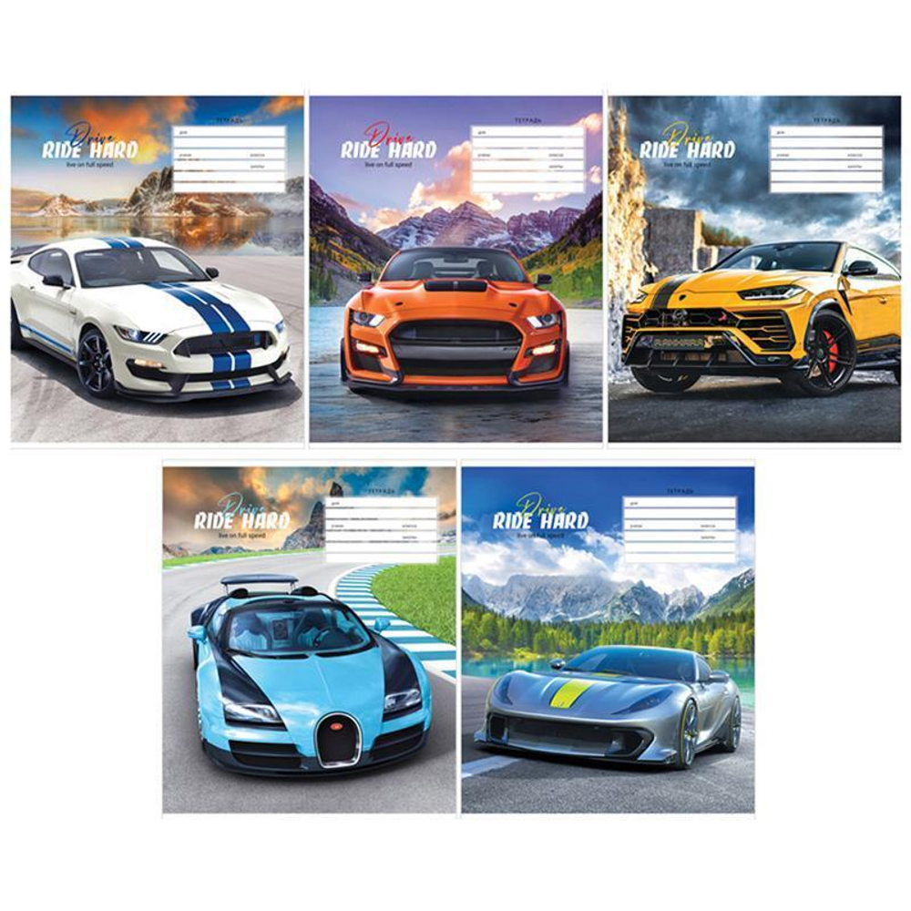 Тетрадь школьная А5 12л клетка "Авто. Drive hard", эконом. 333207 (Спейс)