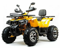 Квадроцикл MOTOLAND 200 WILD TRACK X