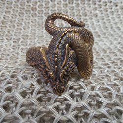 Кольцо. Дракон. Змей. (как р53)