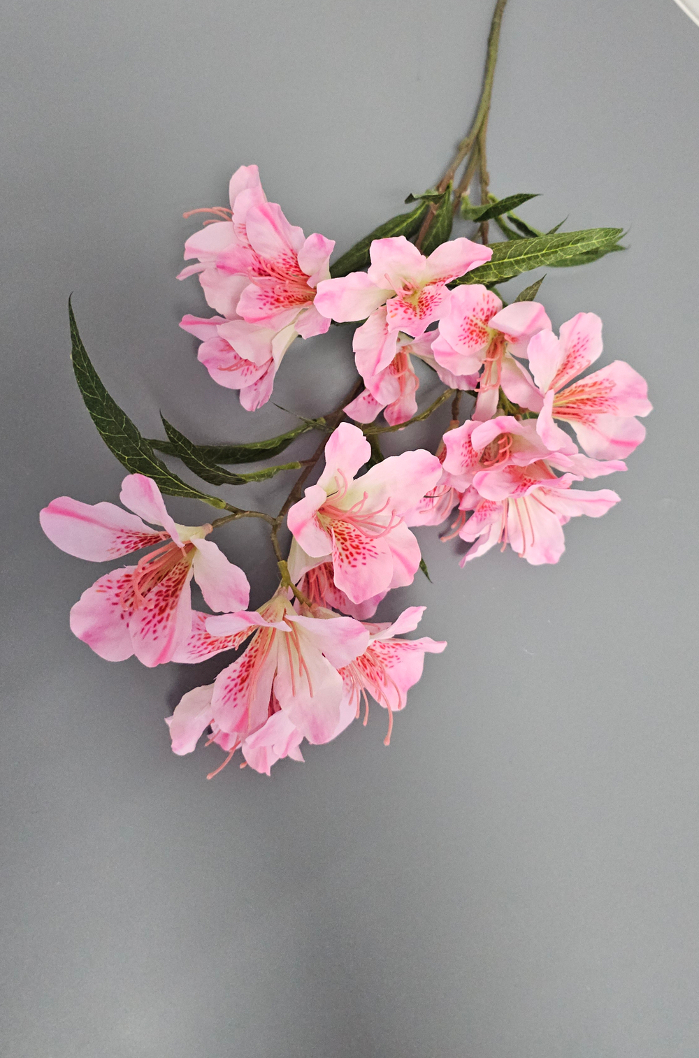 Альстромерия / Арт 2568