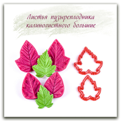 Листья пузыреплодника калинолистного большие