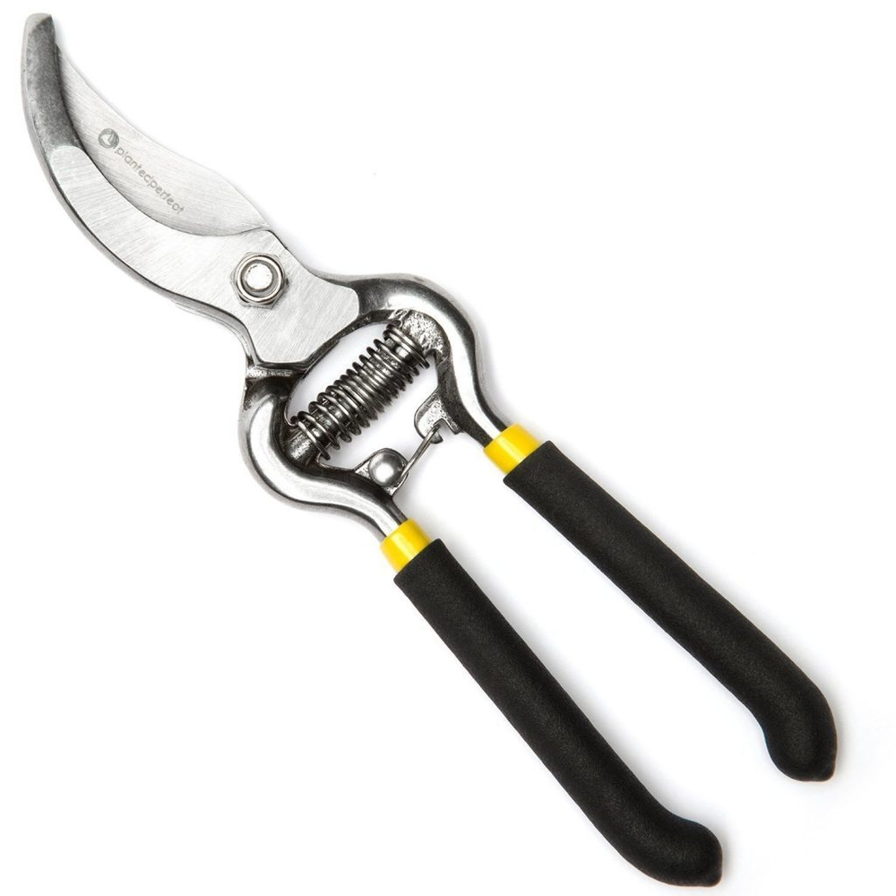 forbici-potatura-1024x1024