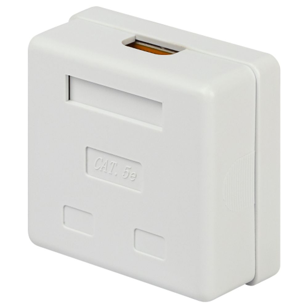 Розетка компьютерная RJ-45 ЭРА RJ02UN категория 5е неэкранированная 2-порта упаковка 30 шт