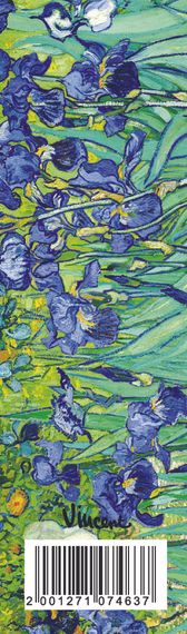 Əlfəcin Van Gogh 5