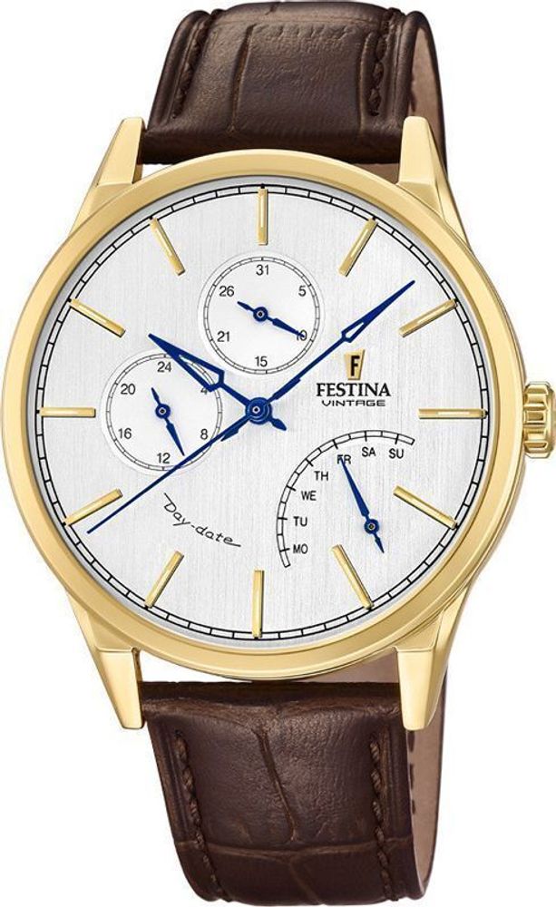Мужские наручные часы Festina F20279/1
