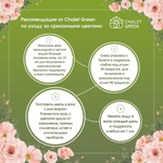 Букет из кустовой розы Сильва Пинк и ранункулюсов. Авторский букет Chalet Green