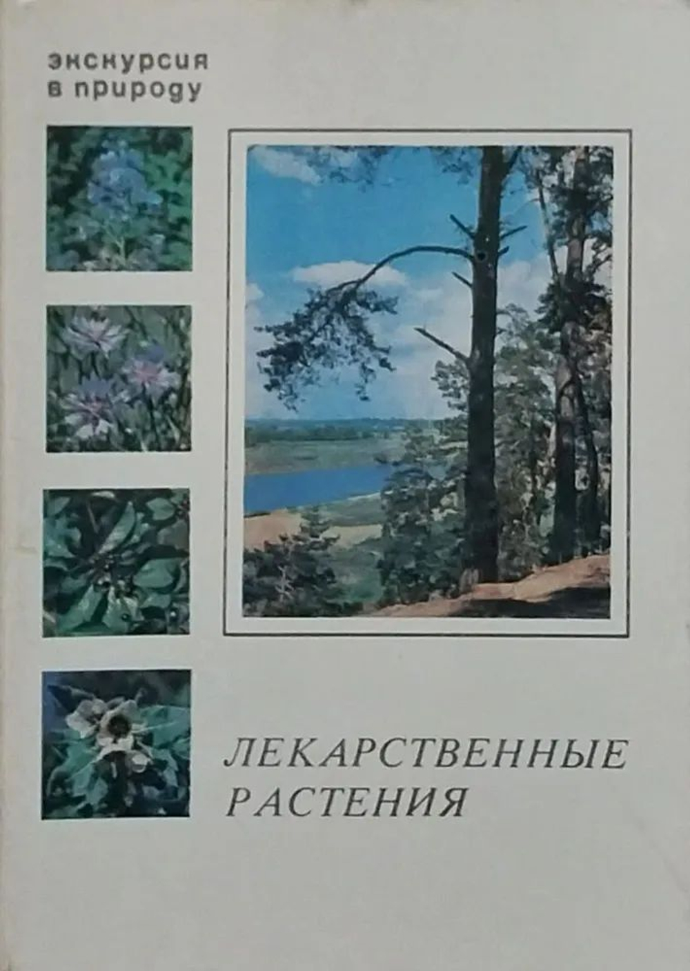 Набор открыток СССР. Лекарственные растения. Выпуск 3 / Экскурсия в природу (комплект из 25 открыток) 1978 год