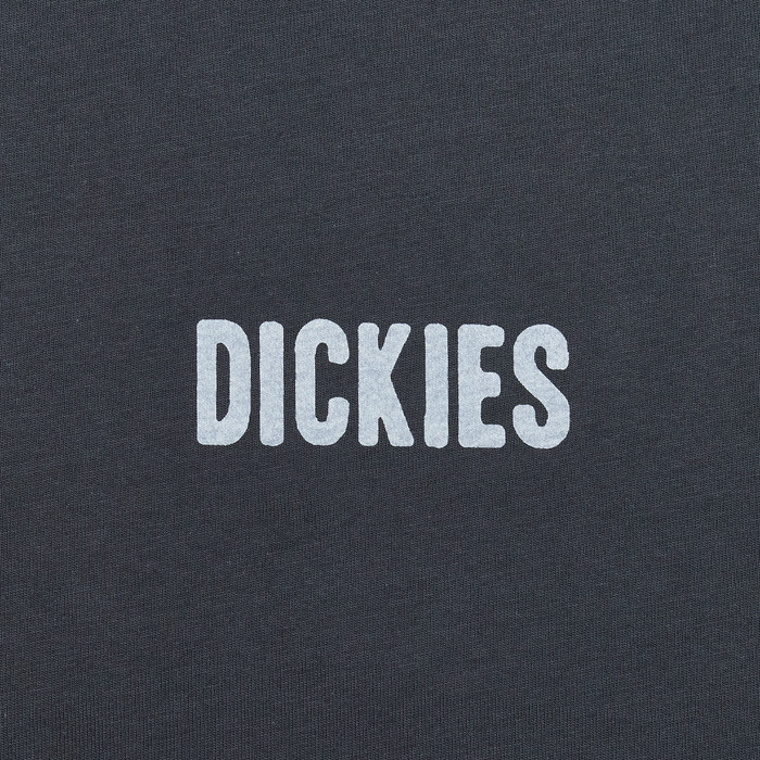 Футболка мужская Dickies Wolfhurst Short Sleeve Tee 