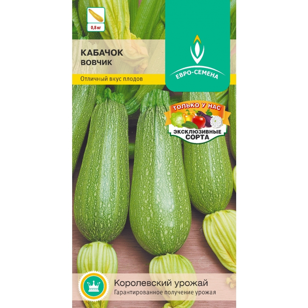 Кабачок белоплодный Вовчик 1 гр (ЕВРО-СЕМЕНА)