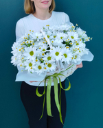 Корзина с цветами(00489)