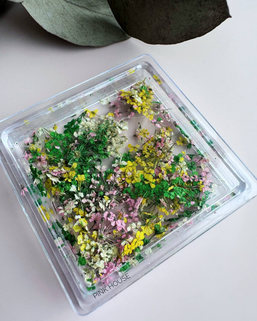 Сухоцветы 01 Полюшко Pink House