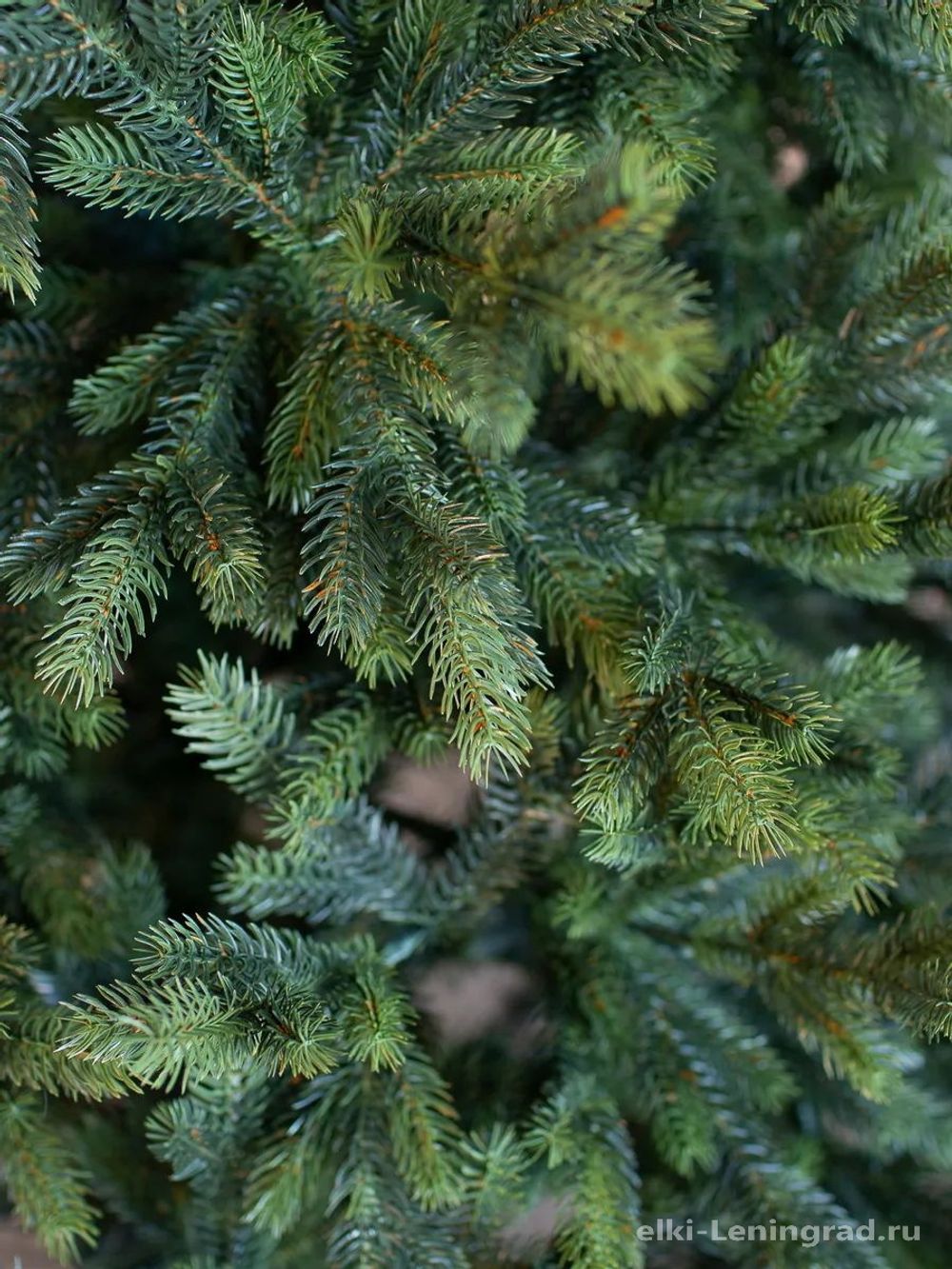 Ель искусственная «Брено» (Литая) 210 см / 2.1 м