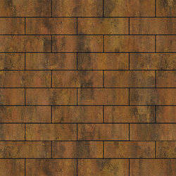 Тротуарная плитка ПРЯМОУГОЛЬНИК 300х100 мм - Листопад гладкий Саванна