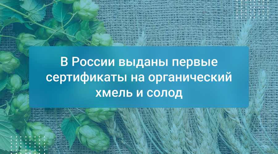 В России выданы первые сертификаты на органический хмель и солод