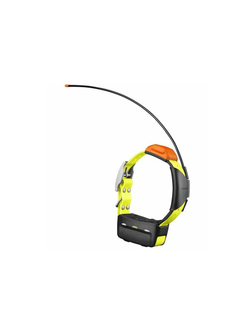Ошейник Garmin T5X EU-Nordic Европейская версия (010-02755-71)