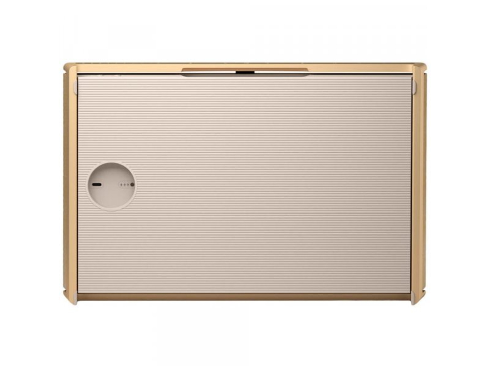 Портативная акустика Bang & Olufsen Beosound Level Gold Tone/Light Oak