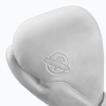 Боксёрские перчатки Hayabusa T360 Leather white