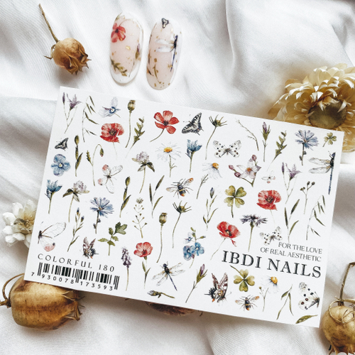 IBDI слайдер дизайн COLORFUL №180