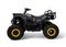 Квадроцикл MOTAX Grizlik W200