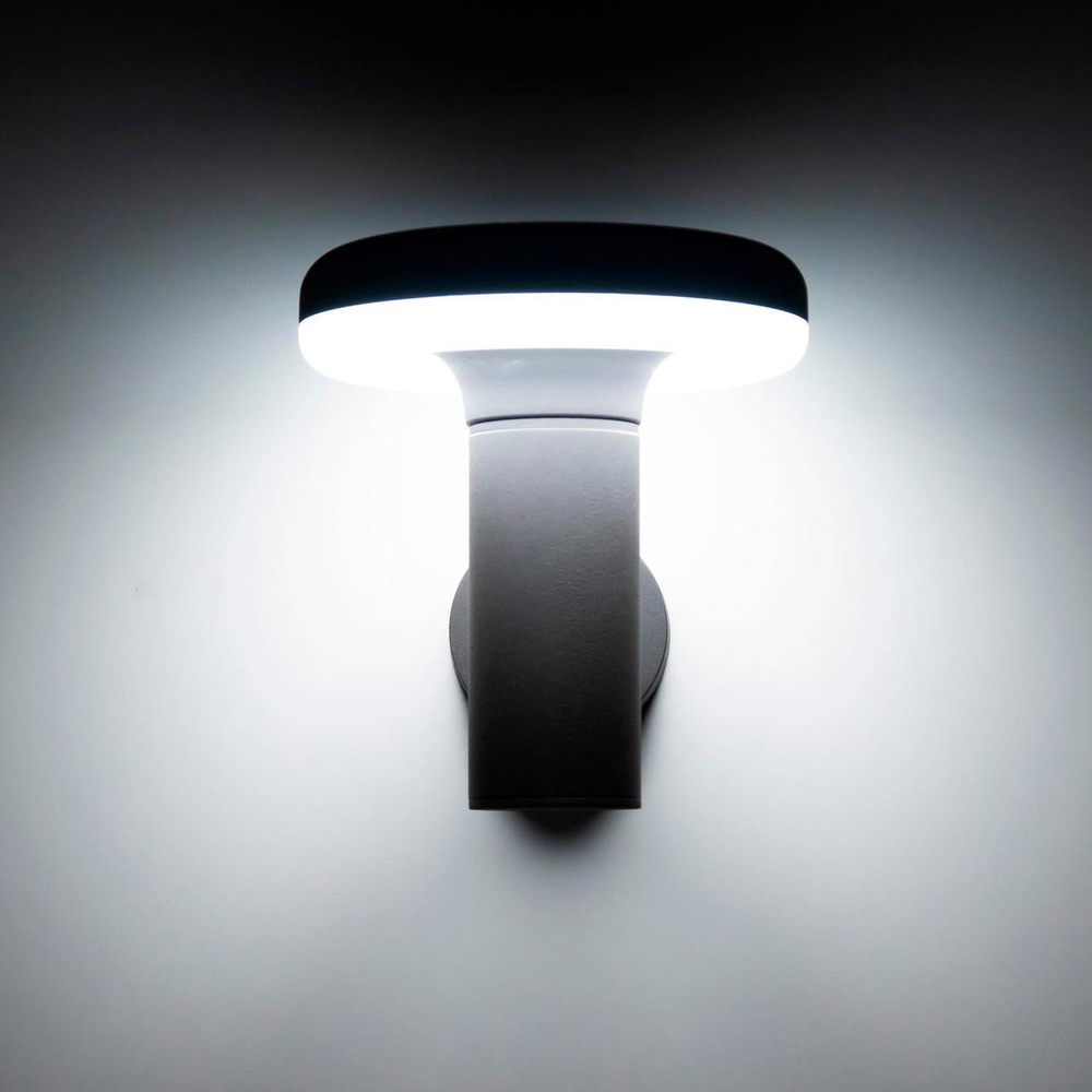 Уличный настенный светодиодный светильник Citilux CLU01W