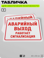 Табличка для обеспечения безопасности "Аварийный выход, сработает сигнализация", для офиса, по охране труда для предприятия, организаций, 40х30 см, Silver Plane x Айдентика Технолоджи
