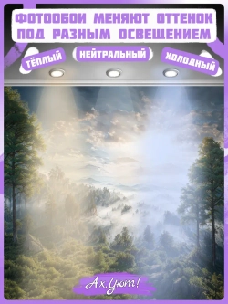 3D Фотообои утренний лес в тумане и горы