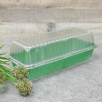 Парник для рассады 2 места, 39*16*6,5см (В2*570, Д2*570)