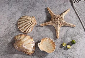 Блюдо 15,5*15,5 см, 125 мл, керамика "Frutti di Mare" P.L.