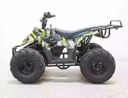 Электроквадроцикл GreenCamel Гоби К55 (36V 800W R7 Цепной привод)