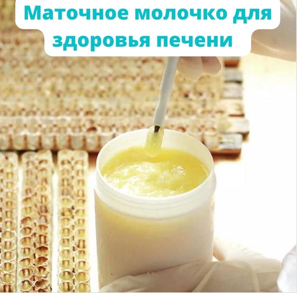 МАТОЧНОЕ МОЛОЧКО ДЛЯ ЗДОРОВЬЯ ПЕЧЕНИ