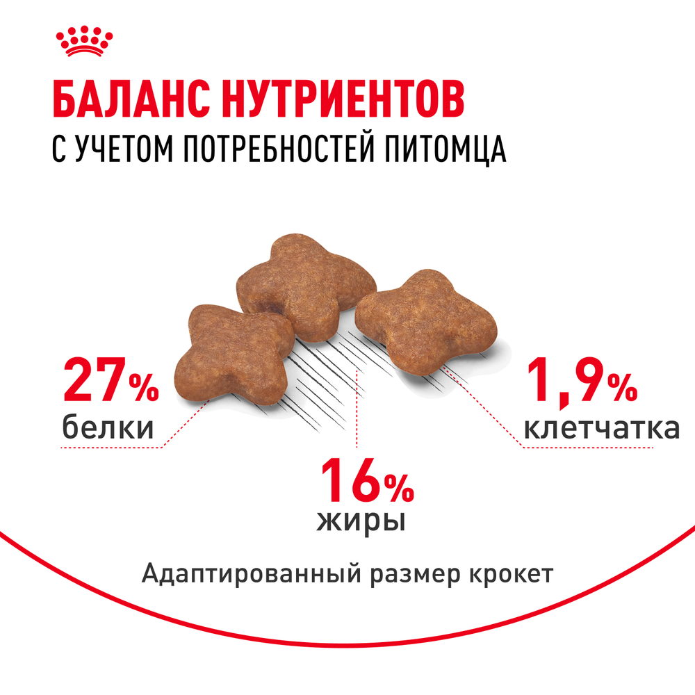Royal Canin Mini Adult Корм сухой для взрослых собак мелких размеров от 10 месяцев - 2 кг