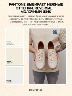 24976-1R/Кеды мужские