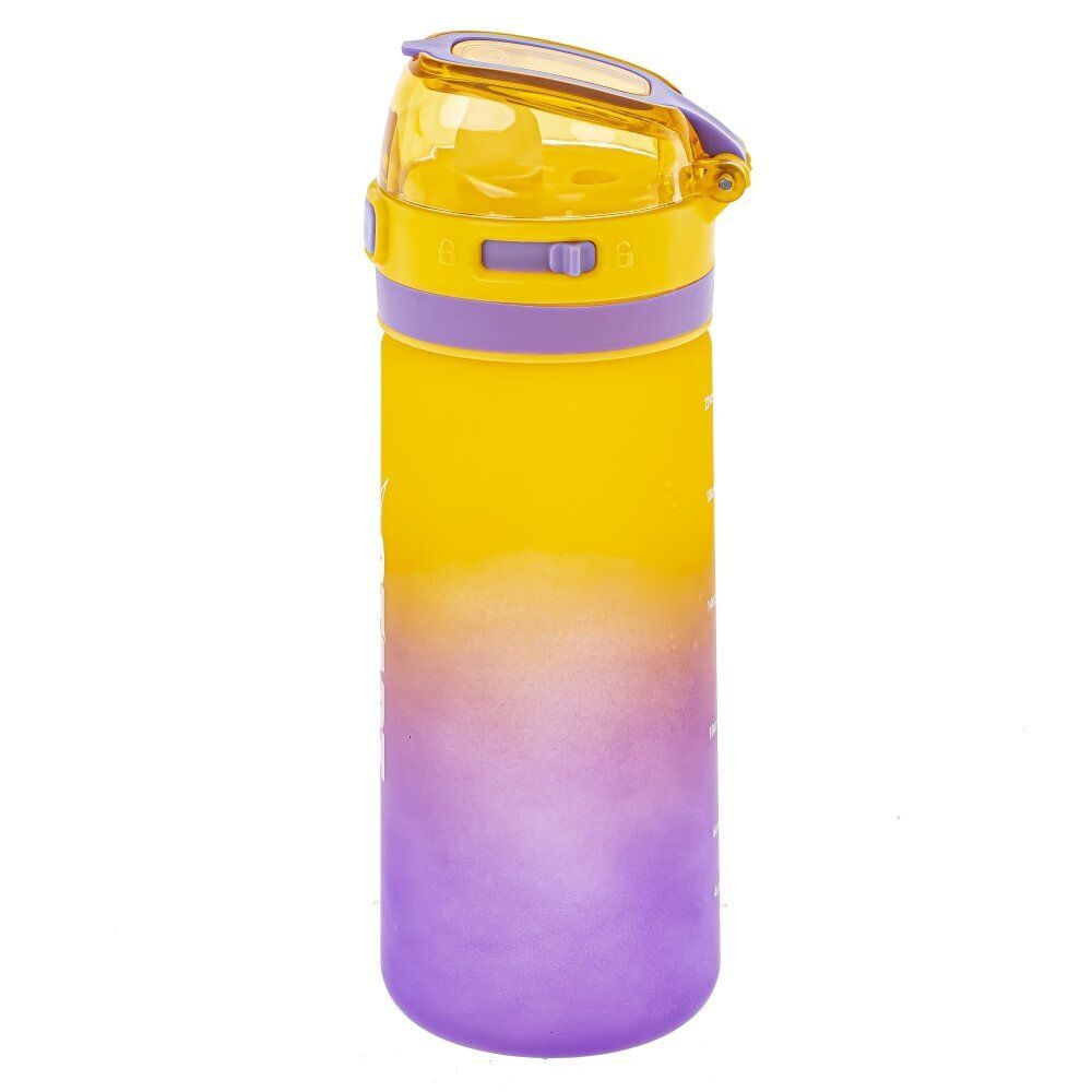 GAEM Бутылка, 650 мл, L7,5 W7,5 H22 см