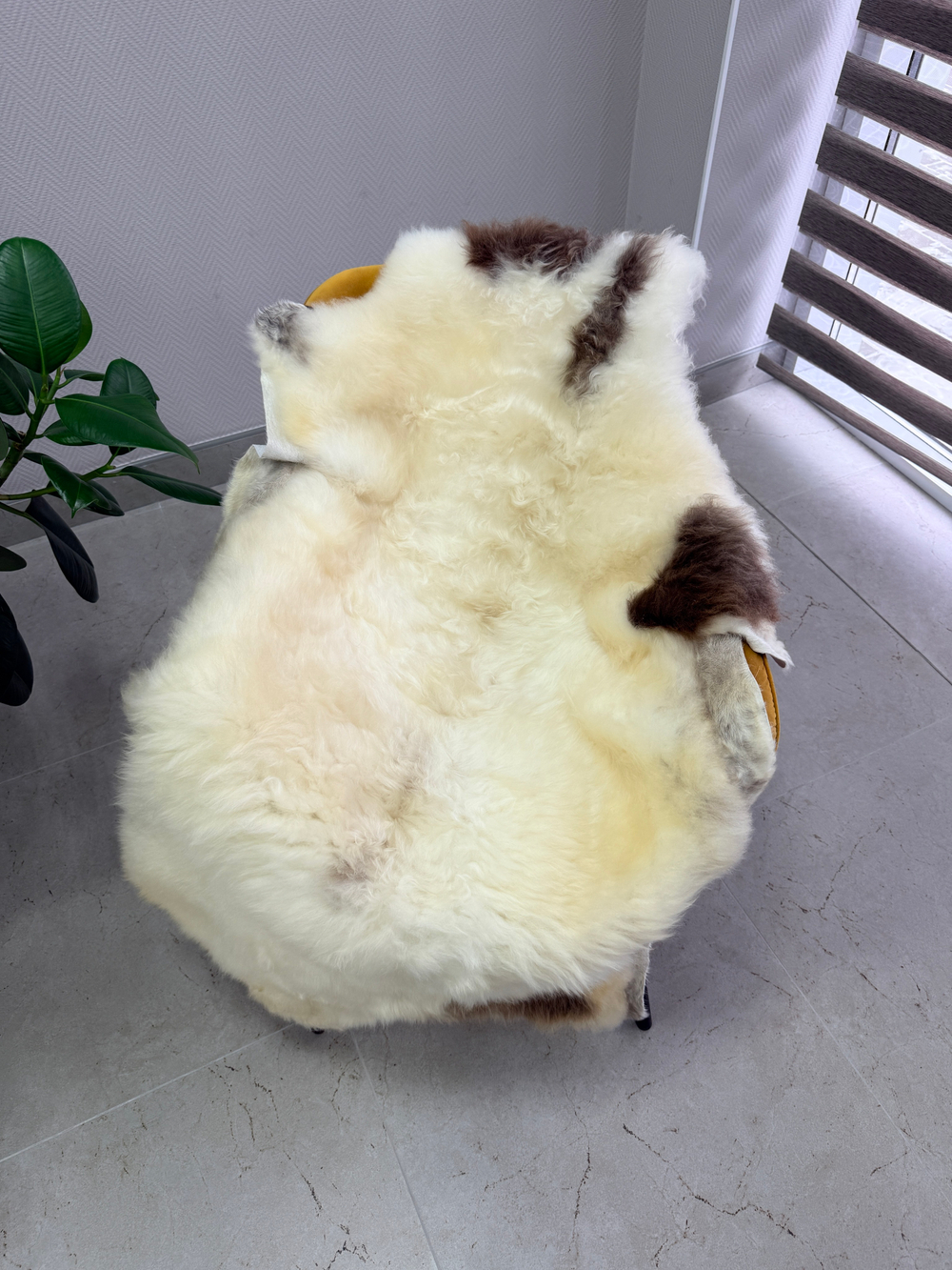 Шкура коврик меховой прикроватный овчина, 120х65 см.