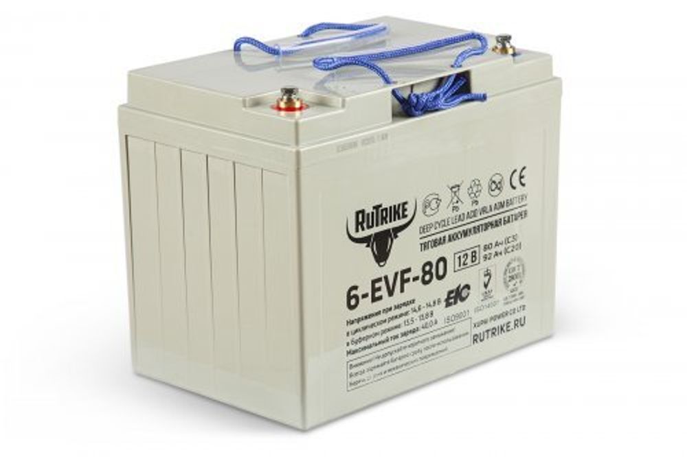 Тяговый аккумулятор RuTrike 3-EVF-200 (6V200A/H C3)