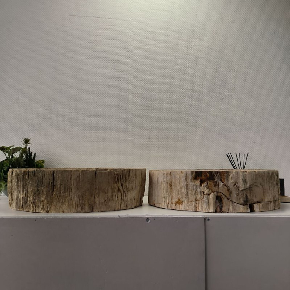 Раковина из окаменелого дерева ПАРА! OD-62099 57*46*16 2шт