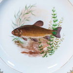 Столовый сервиз на 12 персон